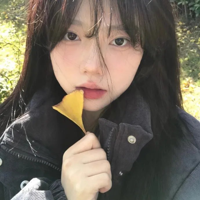 小夜莺